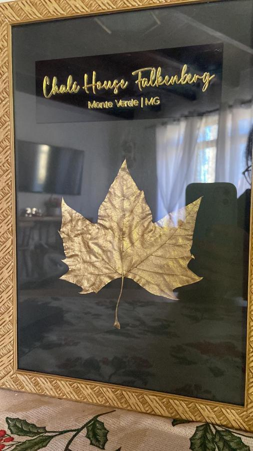 Chale House Falkenberg Monte Verde  Zewnętrze zdjęcie